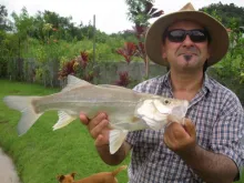 User submitted picture: Secret Lake snook!!!!