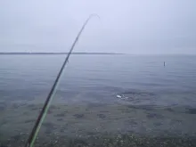 User submitted picture: A hard day at the office....