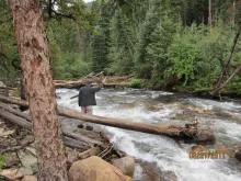 User submitted picture: Colorado Tenkara Heaven