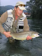 User submitted picture: Big brown from Balkan