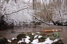 User submitted picture: One April day on trout