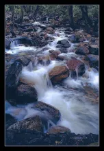 User submitted picture: Camara Nikon F70, Nikon 5...