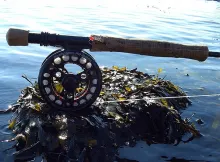 User submitted picture: ...were are the Seatrouts...