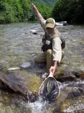 User submitted picture: "In the net" by www.gui...