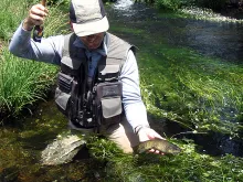 User submitted picture: Small trout. I half-close...