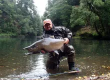 User submitted picture: www.lavaguada.cl: King sa...