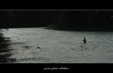 User submitted picture: The Poprad river