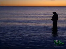 Computer screen wallpaper: Danish coastal fly angler