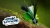 Video thumb for Emerald Hopper