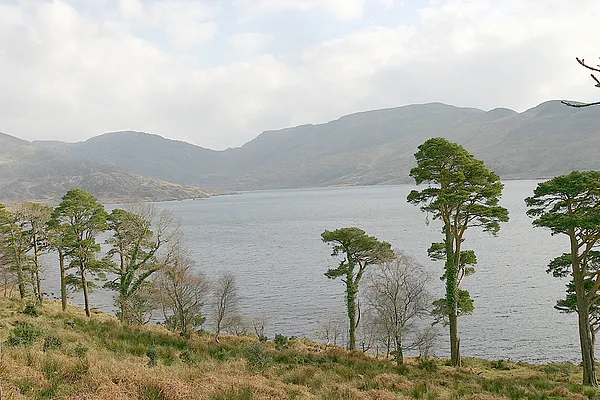 User submitted picture: In Wild Places