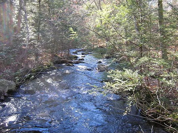 User submitted picture: Salars Nursery