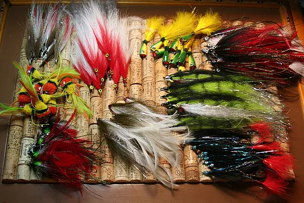 User submitted picture: Flies for Peacock Bass fr...