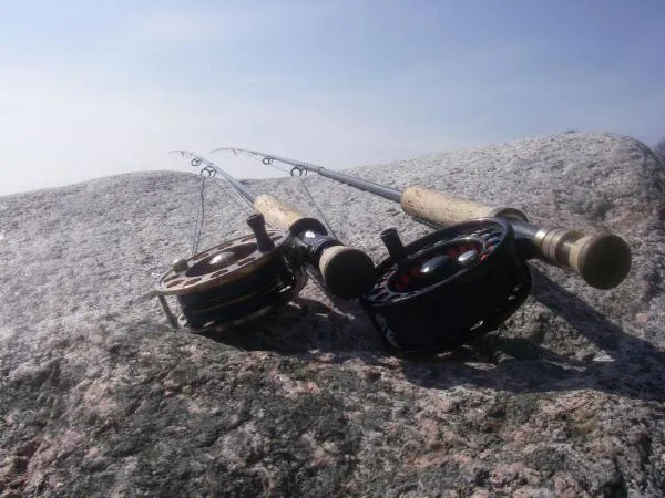 User submitted picture: two friends-two rods