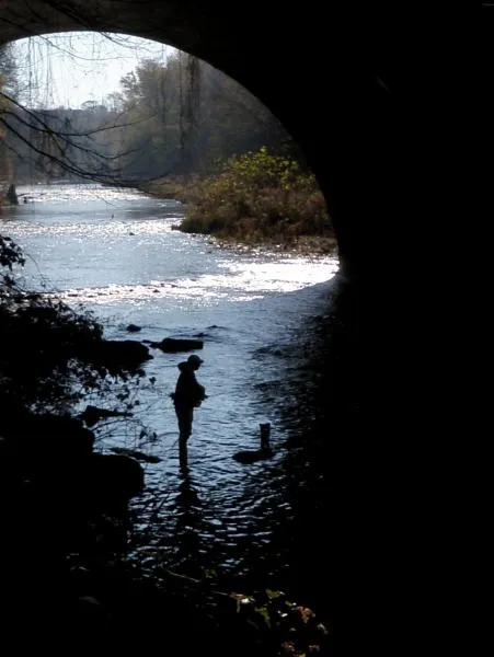 User submitted picture: Under the bridge, fishing...