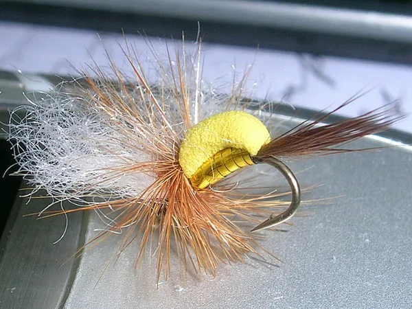 User submitted picture: The "Dindi Gold". This ...