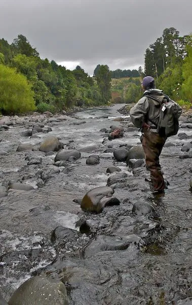 User submitted picture: Looking forward to heavy ...