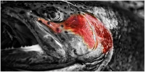 User submitted picture: In a very cold day a well...