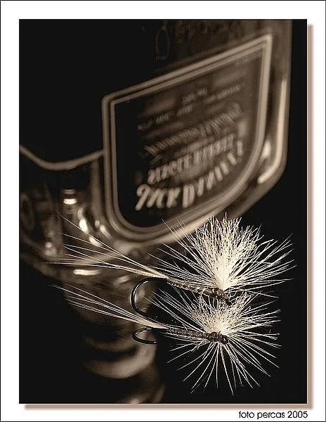 User submitted picture: The flyfishing still life...