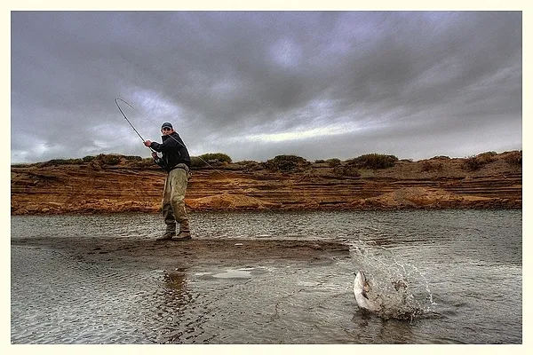 User submitted picture: Take frome upon and few s...