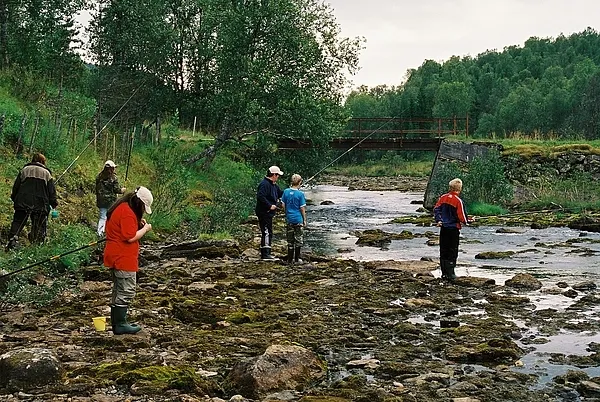 User submitted picture: A new generation fly fish...