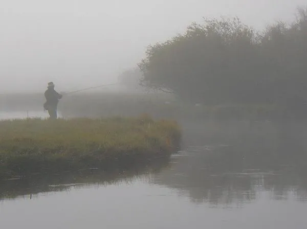 User submitted picture: Morning fog and fly fishe...
