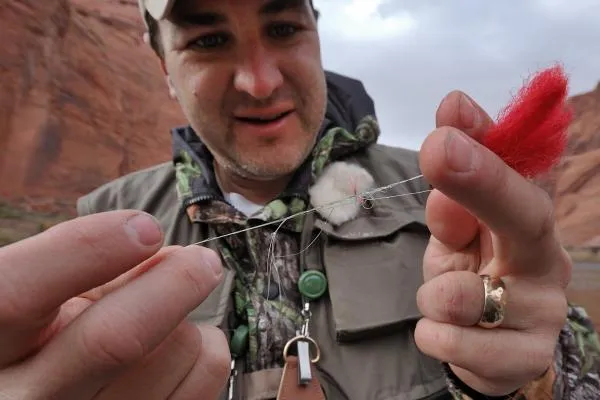 User submitted picture: Snarl