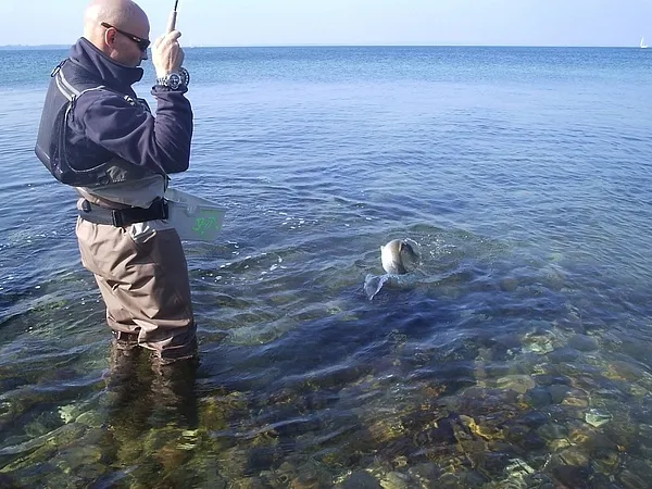 User submitted picture: GFF summit '06. Jesper i...