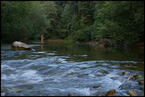 User submitted picture: Sightfishing for big barb...