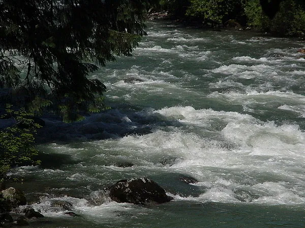 User submitted picture: Who can tell what lies be...