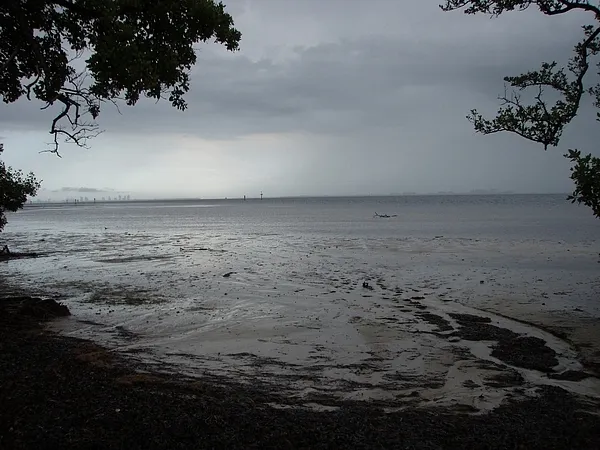 User submitted picture: This is the closest bonef...