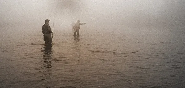 User submitted picture: Into the Mist 