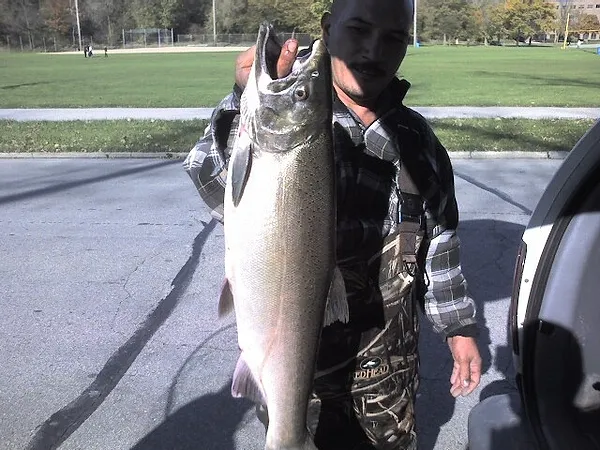 User submitted picture: Lincoln Park