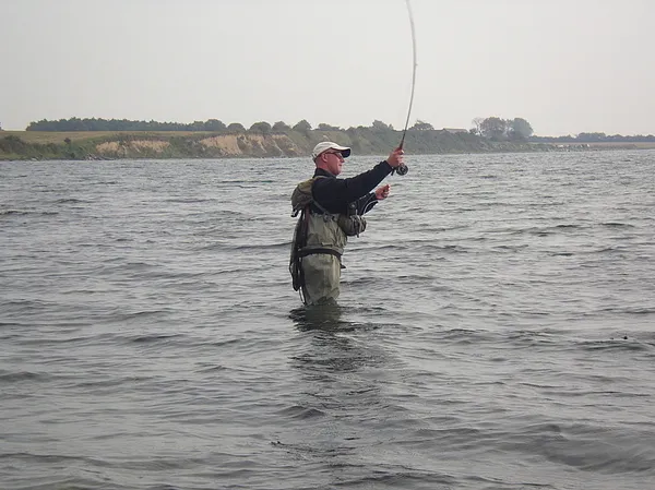 User submitted picture: Steve...!!! Hard at work....