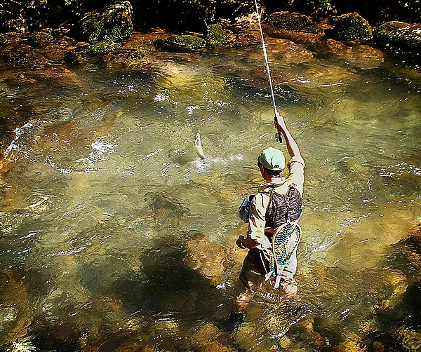 User submitted picture: Learn to dance to the tro...