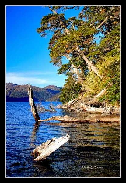 User submitted picture: Lake Tromen, Neuquen, Pat...