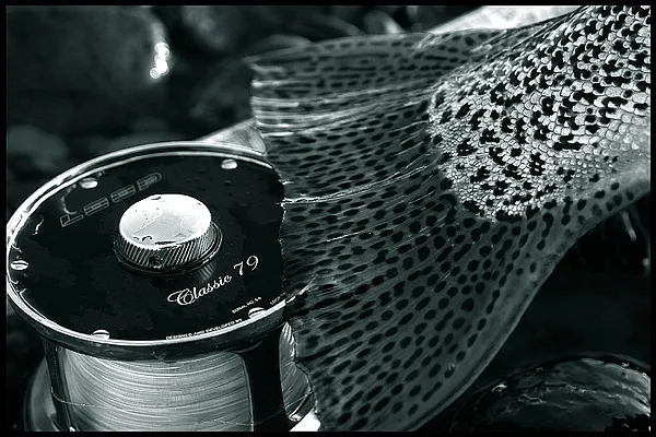 User submitted picture: Equipment test under hars...