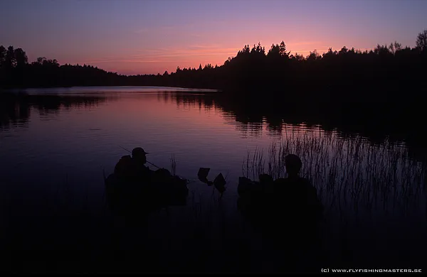 User submitted picture: Pike fly fishing from Bel...