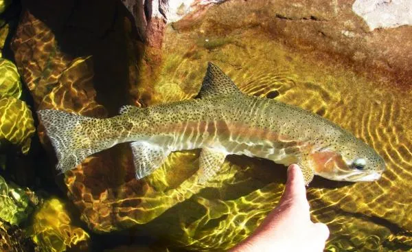 User submitted picture: A different veiw of the 2...