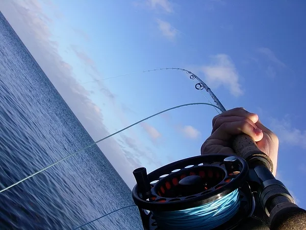 User submitted picture: Fighting with a nice one!